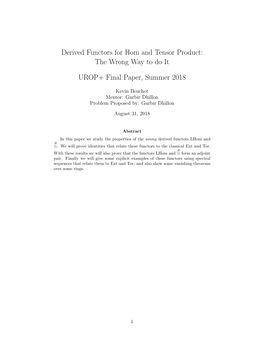 Derived Functors for Hom and Tensor Product: the Wrong Way to Do It