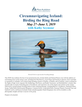 Circumnavigating Iceland: Birding the Ring Road May 27–June 5, 2019 with Kathy Seymour
