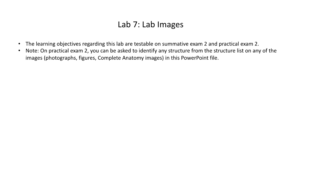 Lab 7: Lab Images