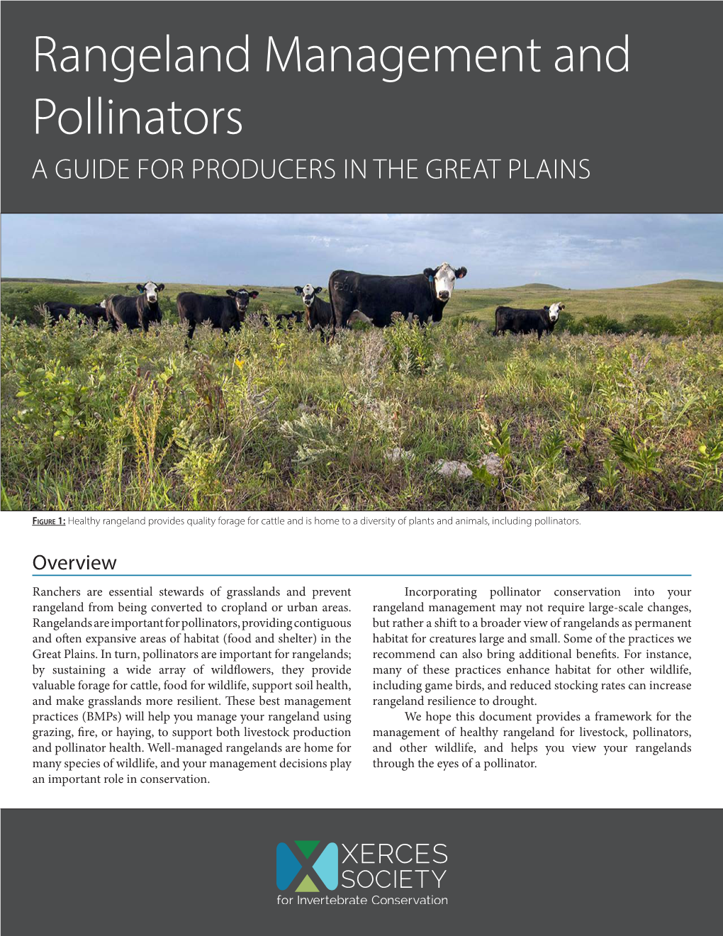 Rangeland Management and Pollinators: a Guide for Producers in the Great Plains