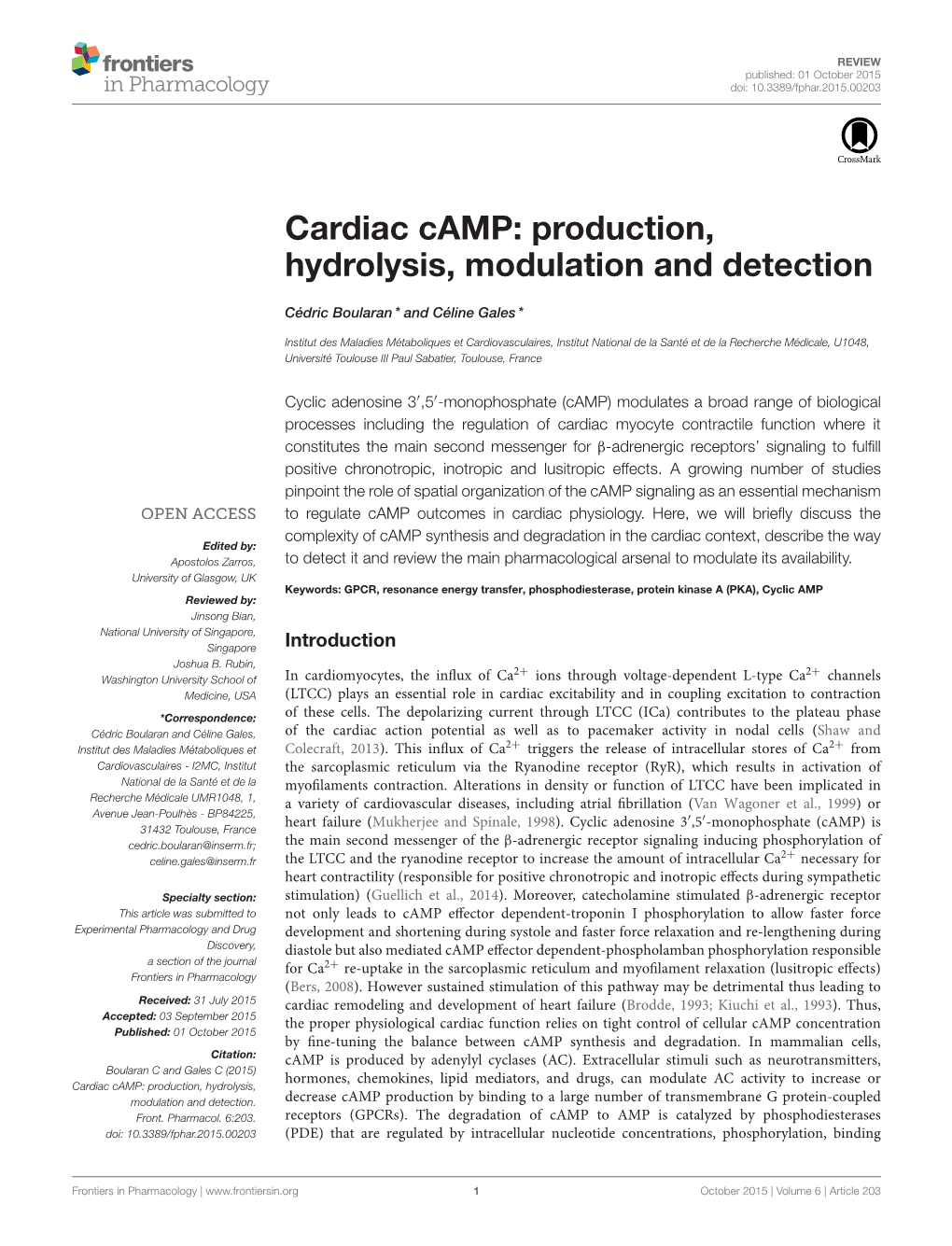 Cardiac Camp: Production, Hydrolysis, Modulation and Detection