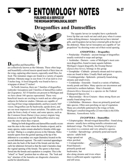 Dragonflies and Damselflies the Aquatic Larvae (Or Nymphs) Have a Prehensile Lower Lip That Can Reach out and Catch Prey When It Comes Within Striking Distance