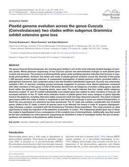 Plastid Genome Evolution Across the Genus Cuscuta (Convolvulaceae): Two Clades Within Subgenus Grammica Exhibit Extensive Gene Loss