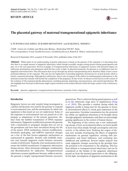 The Placental Gateway of Maternal Transgenerational Epigenetic Inheritance