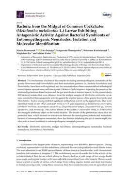 Larvae Exhibiting Antagonistic Activity Against Bacterial Symbionts of Entomopathogenic Nematodes: Isolation and Molecular Identiﬁcation