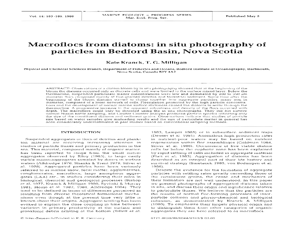 Macroflocs from Diatoms: in Situ Photography of Particles in Bedford Basin, Nova Scotia