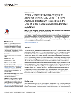 Whole-Genome Sequence Analysis of Bombella Intestini LMG 28161T, a Novel Acetic Acid Bacterium Isolated from the Crop of a Red-Tailed Bumble Bee, Bombus Lapidarius