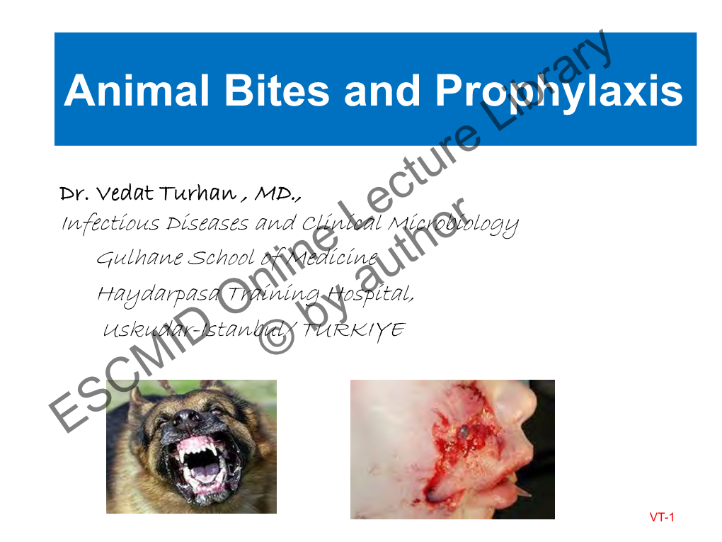 Approach to Animal Bites