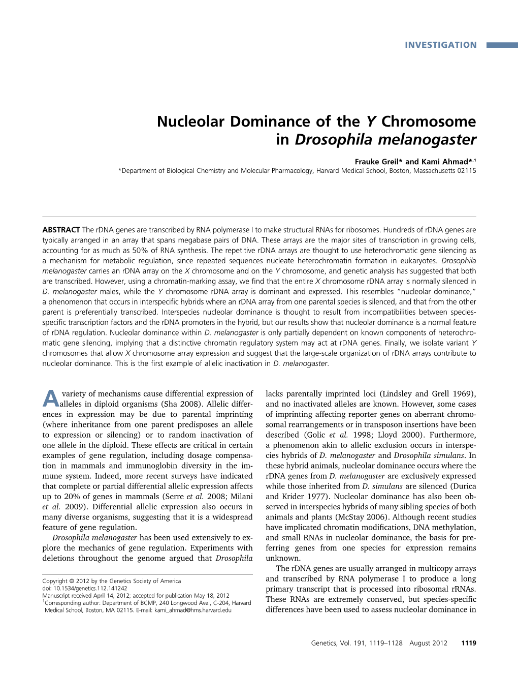 Nucleolar Dominance of the Y Chromosome in Drosophila Melanogaster