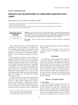 Analysis and Reconfirmation of a Bee-Eater Specimen from Japan