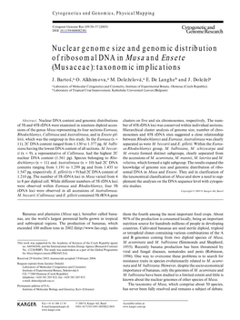 Nuclear Genome Size and Genomic Distribution of Ribosomal DNA in Musa and Ensete (Musaceae): Taxonomic Implications