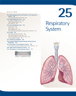 Respiratory System