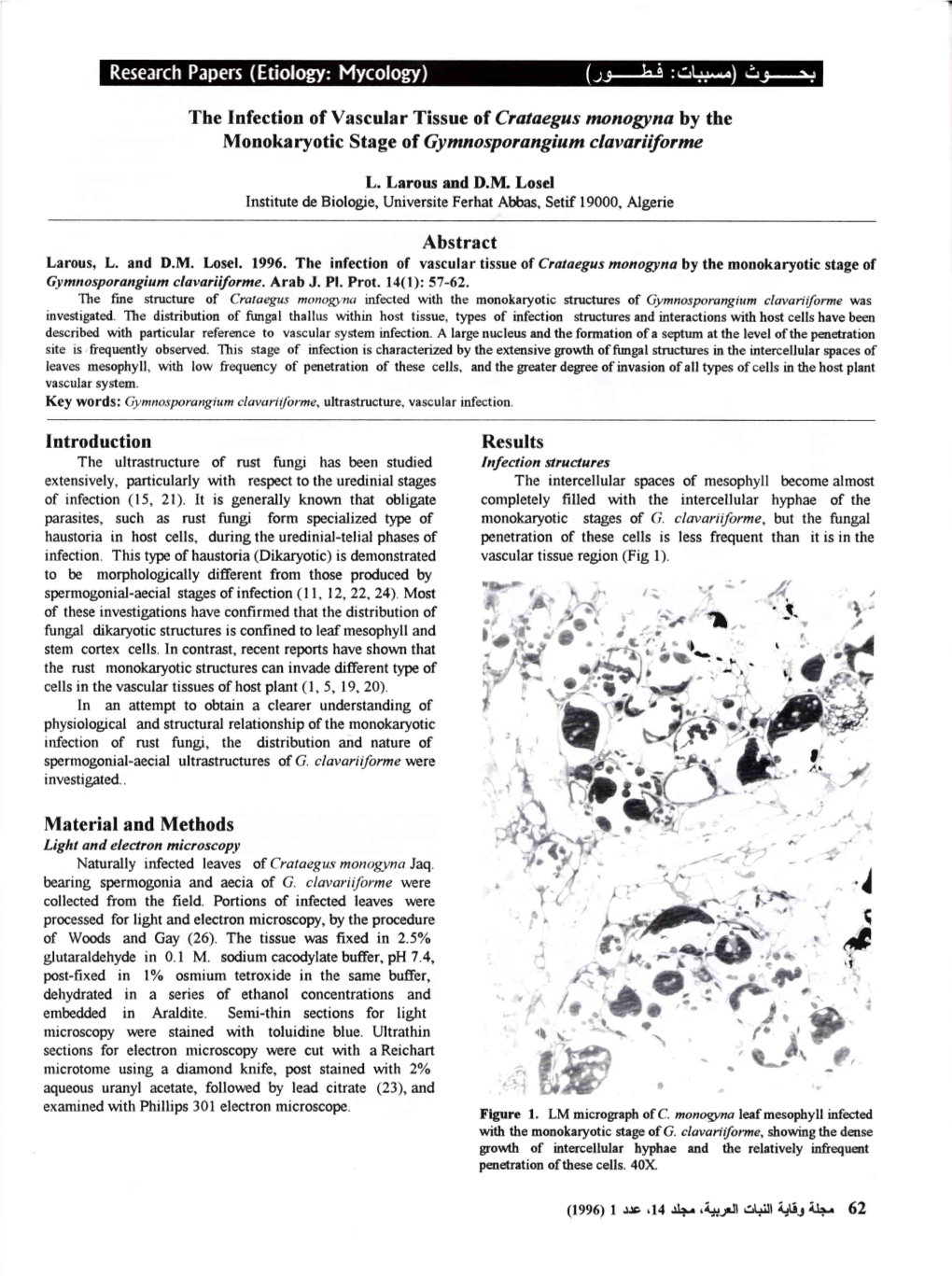 Abstract Material and Methods