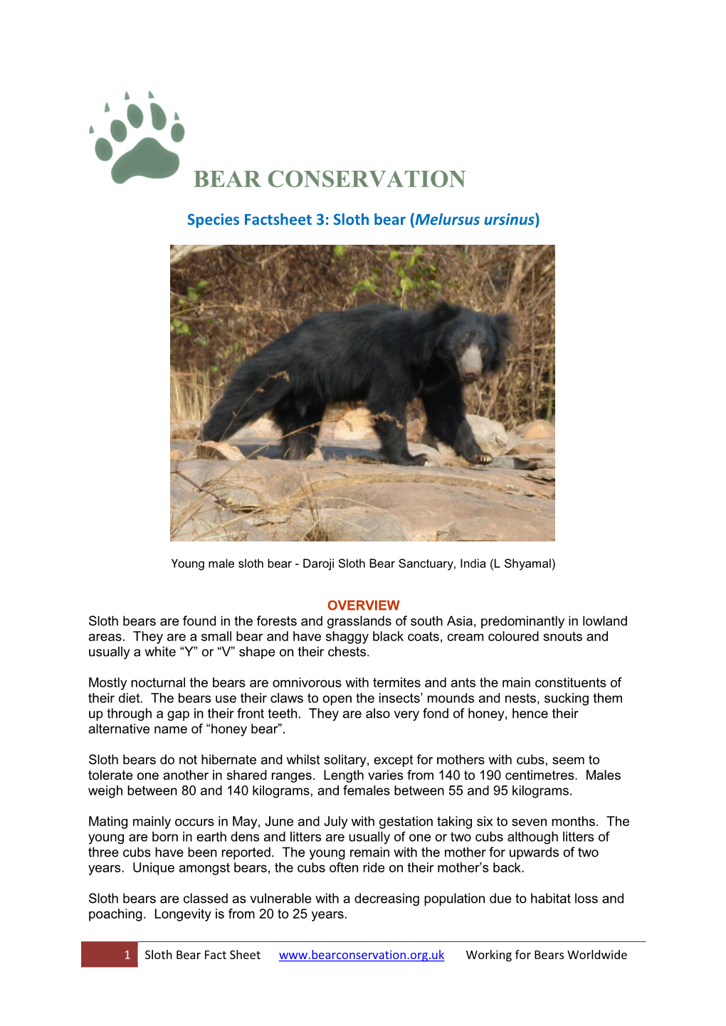 Sloth Bear Fact Sheet Working for Bears Worldwide