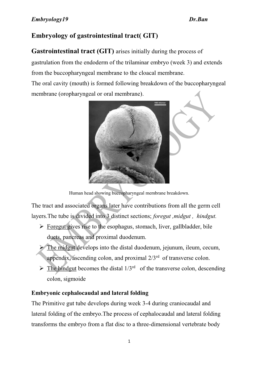 Embryology of Gastrointestinal Tract( GIT)