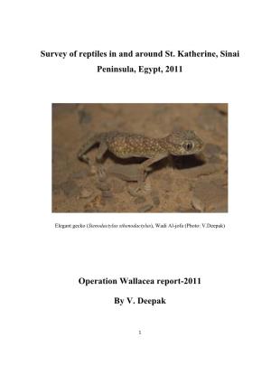 Survey of Reptiles in and Around St. Katherine, Sinai Peninsula, Egypt, 2011