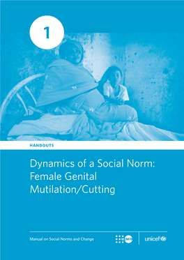 Dynamics of a Social Norm: Female Genital Mutilation/Cutting