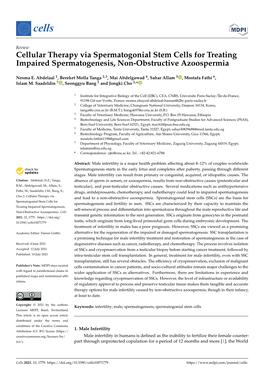 Cellular Therapy Via Spermatogonial Stem Cells for Treating Impaired Spermatogenesis, Non-Obstructive Azoospermia