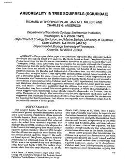 Arboreality in Tree Squirrels (Sciuridae)