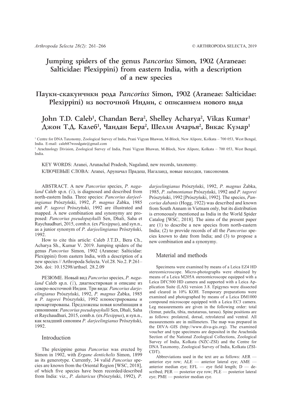 Jumping Spiders of the Genus Pancorius Simon, 1902 (Araneae: Salticidae: Plexippini) from Eastern India, with a Description of a New Species