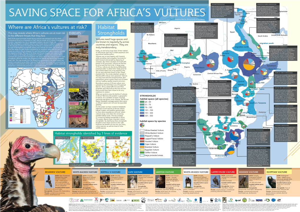 Habitat Strongholds Where Are Africa's Vultures at Risk?