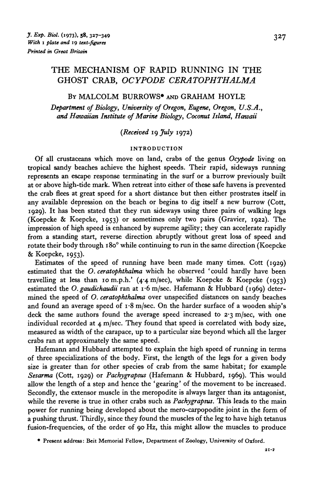 The Mechanism of Rapid Running in the Ghost Crab, Ocypode Ceratophthalma