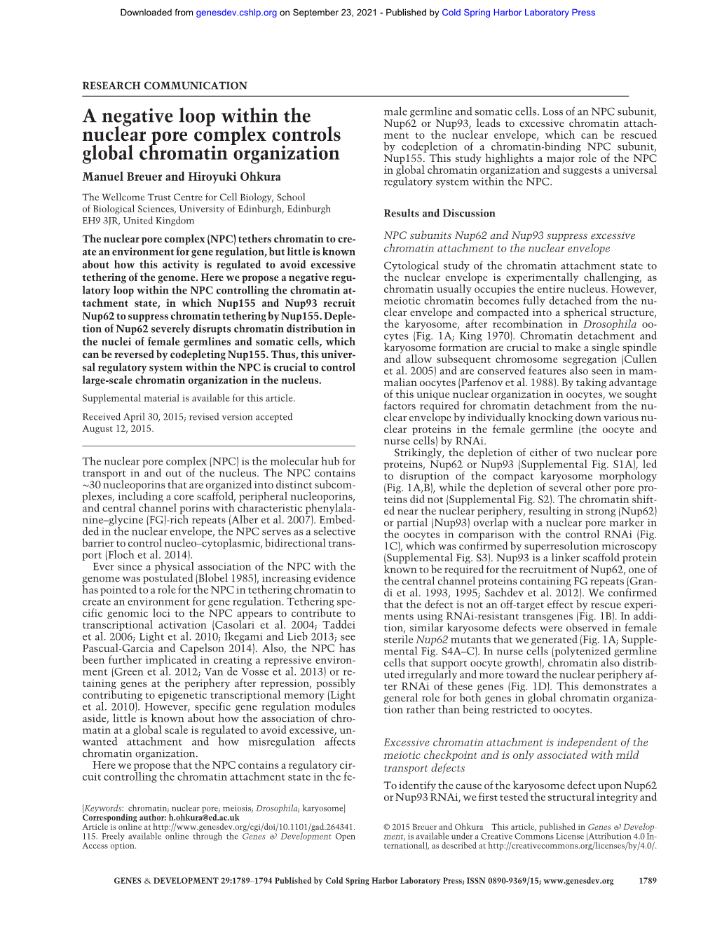 A Negative Loop Within the Nuclear Pore Complex Controls Global Chromatin Organization