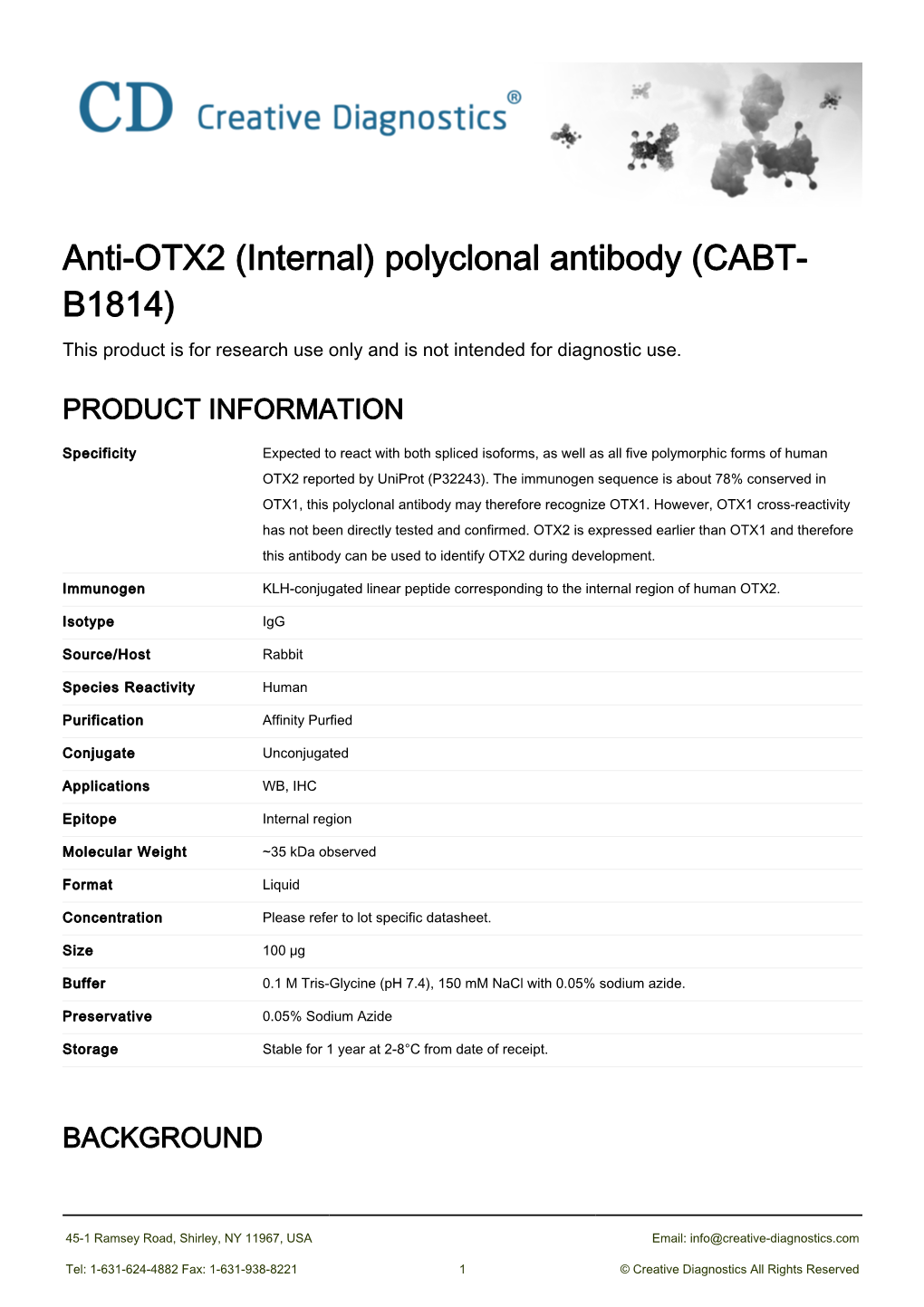 Anti-OTX2 (Internal) Polyclonal Antibody (CABT- B1814) This Product Is for Research Use Only and Is Not Intended for Diagnostic Use