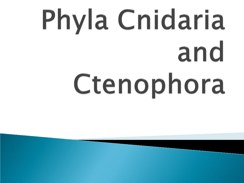 Phyla Cnidaria and Ctenophora