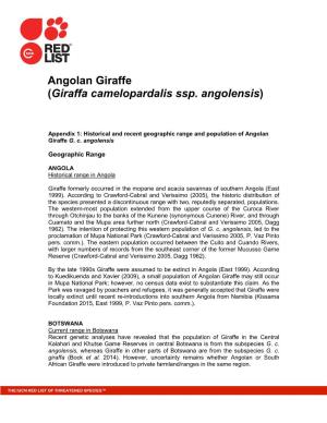 Angolan Giraffe (Giraffa Camelopardalis Ssp