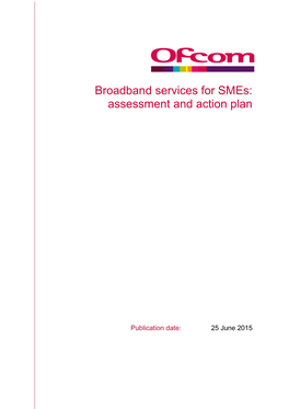 Broadband Services for Smes: Assessment and Action Plan
