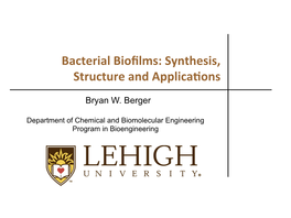 Bacterial Biofilms: Synthesis, Structure and Applica(Ons
