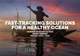 Friends of Ocean Action Impact Report Phase I: 2018 – 2020
