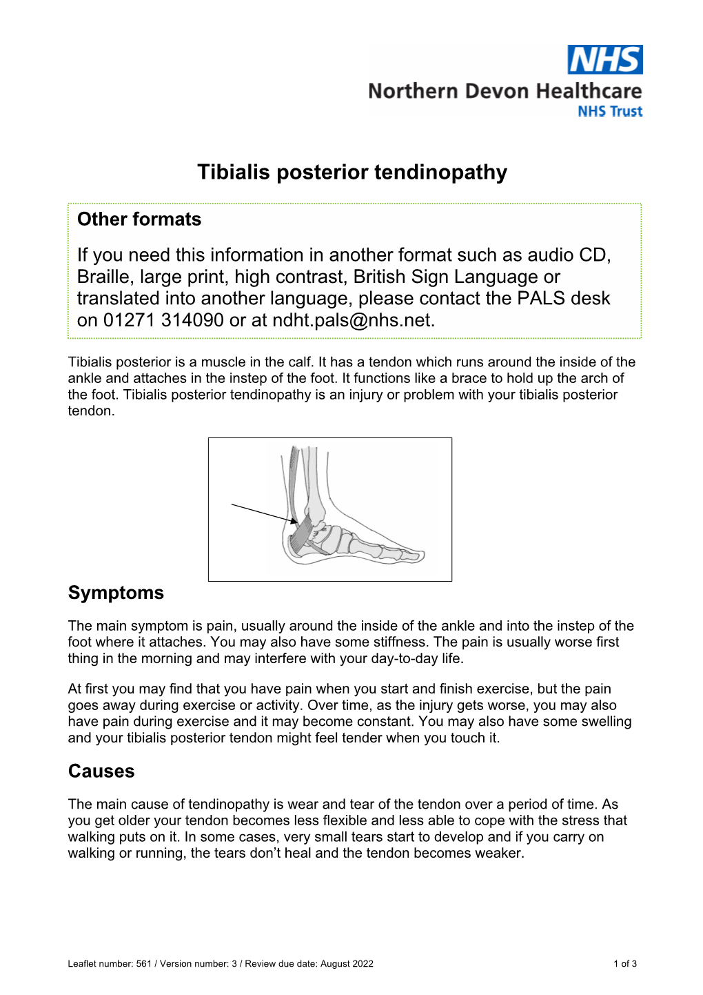 Tibialis Posterior Tendinopathy Docslib 3435