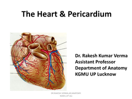 The Heart & Pericardium 2 [PDF]