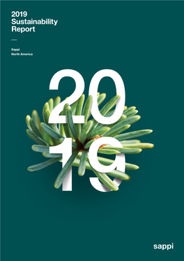 Sappi North America: Sustainability Report (2019)