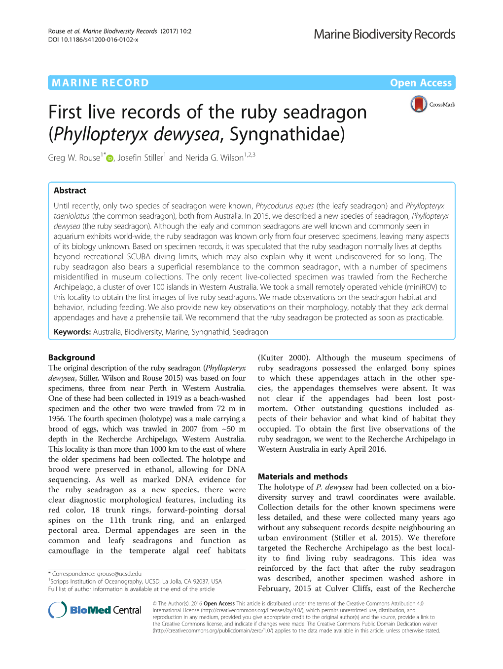 First Live Records of the Ruby Seadragon (Phyllopteryx Dewysea, Syngnathidae) Greg W