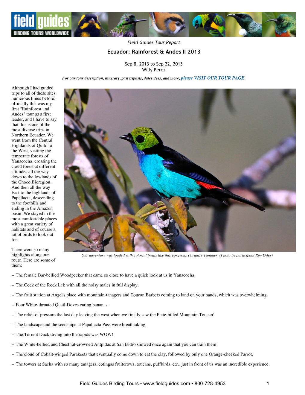 FIELD GUIDES BIRDING TOURS: Ecuador: Rainforest & Andes II 2013