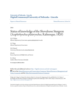 Status of Knowledge of the Shovelnose Sturgeon (Scaphirhynchus Platorynchus, Rafinesque, 1820) Q