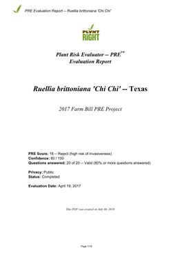 PRE Evaluation Report for Ruellia Brittoniana 'Chi Chi'