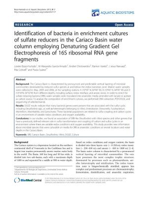Identification of Bacteria in Enrichment Cultures of Sulfate Reducers in The
