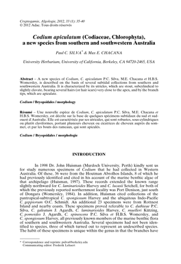 Codium Apiculatum (Codiaceae, Chlorophyta), a New Species From
