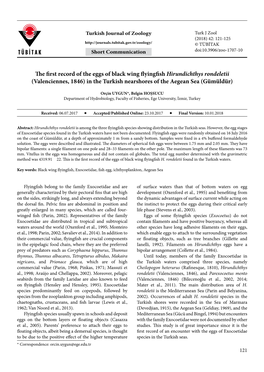 The First Record of the Eggs of Black Wing Flyingfish Hirundichthys Rondeletii (Valenciennes, 1846) in the Turkish Nearshores of the Aegean Sea (Gümüldür)