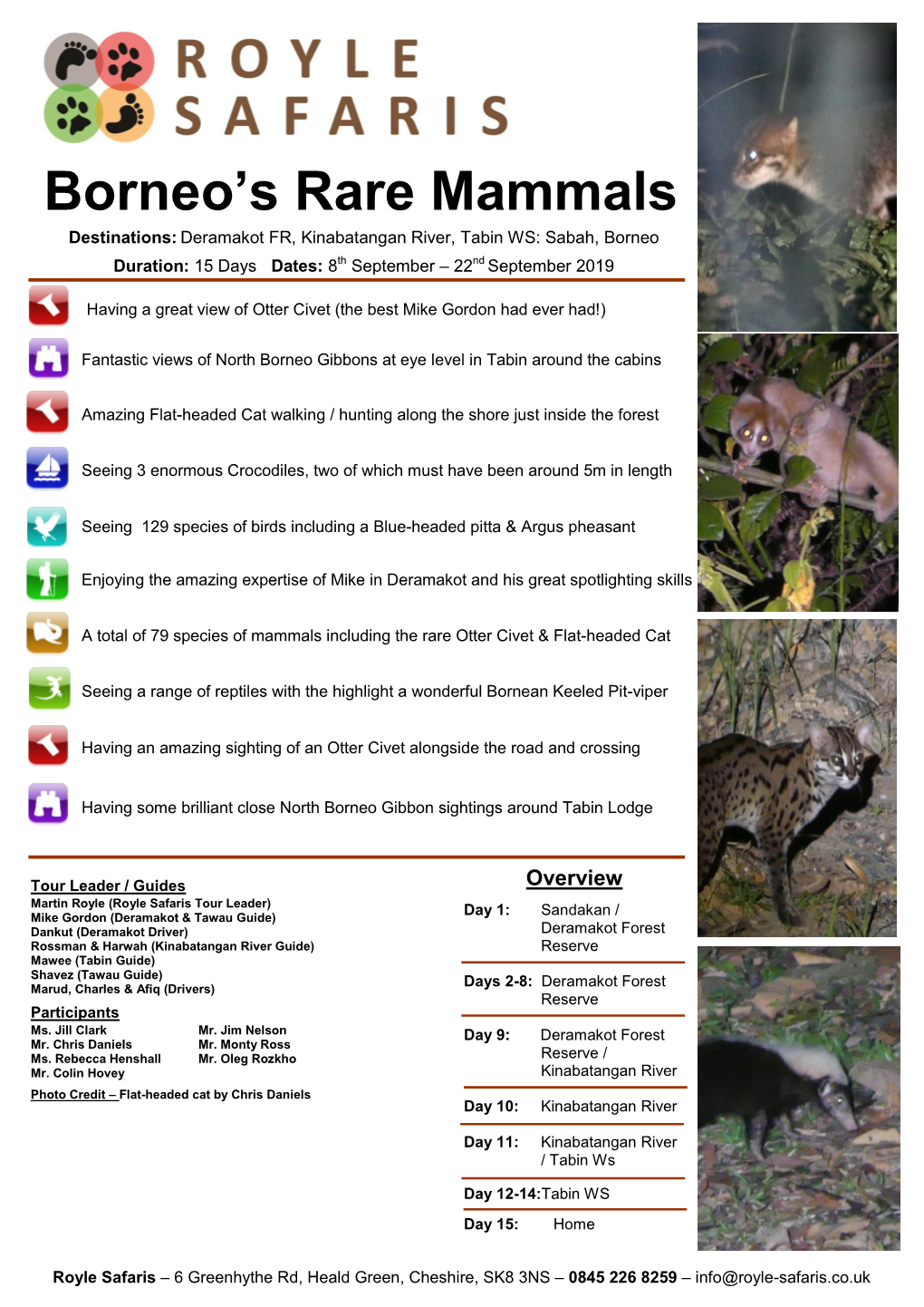 Borneo's Rare Mammals