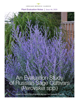 An Evaluation Study of Russian Sage Cultivars (Perovskia Spp.)