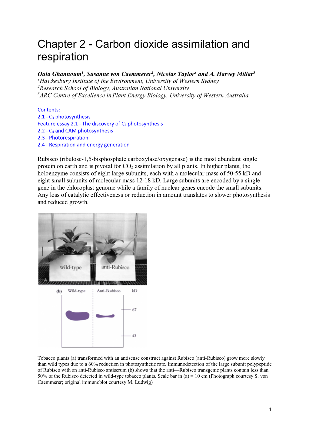 Chapter 2 - Carbon Dioxide Assimilation and Respiration