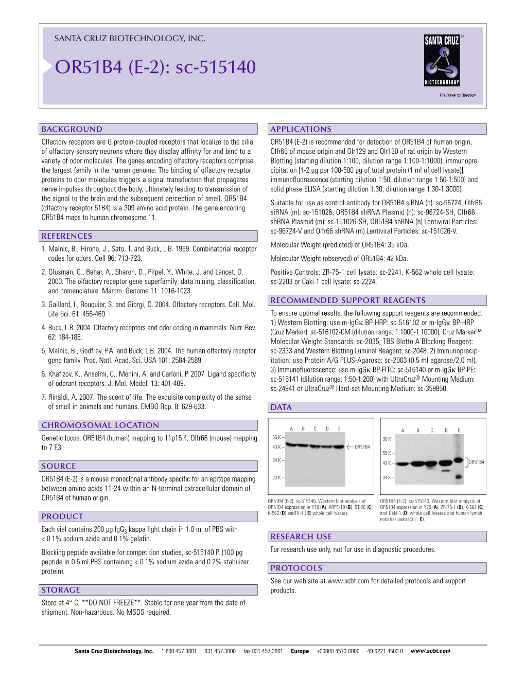 Datasheet Blank Template