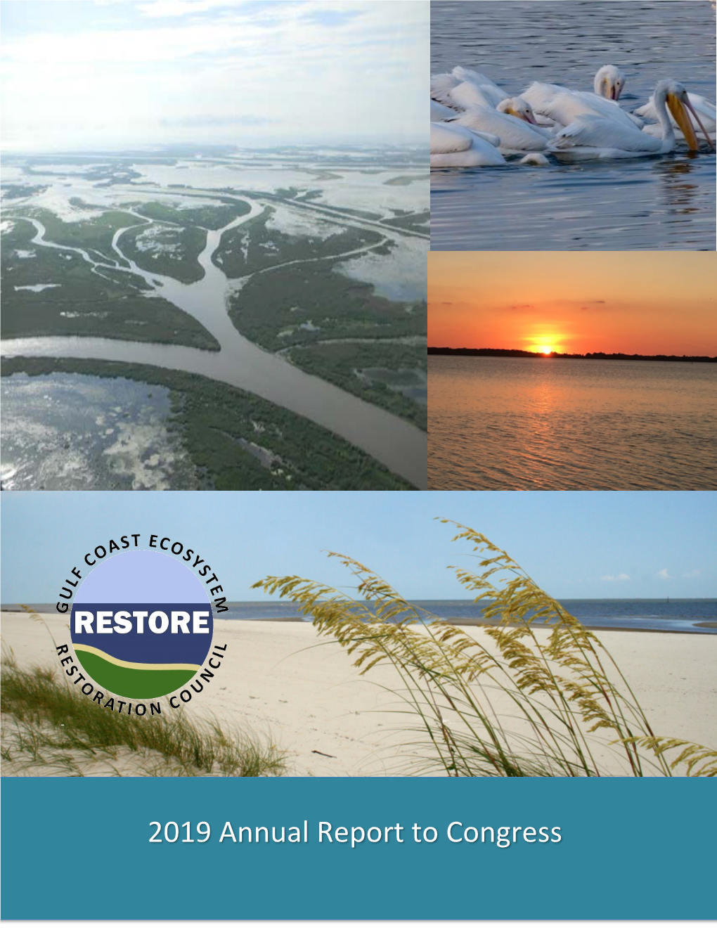 2019 Annual Report to Congress Gulf Coast Ecosystem Restoration Council