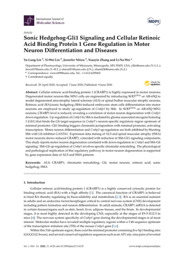 Sonic Hedgehog-Gli1 Signaling and Cellular Retinoic Acid Binding Protein 1 Gene Regulation in Motor Neuron Diﬀerentiation and Diseases