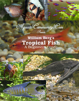Tropical Fish for Beginners